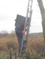 /album/my-local-birding-gallery/getting-the-barn-owl-box-up-the-tree-was-frought-with-problems-jpg/